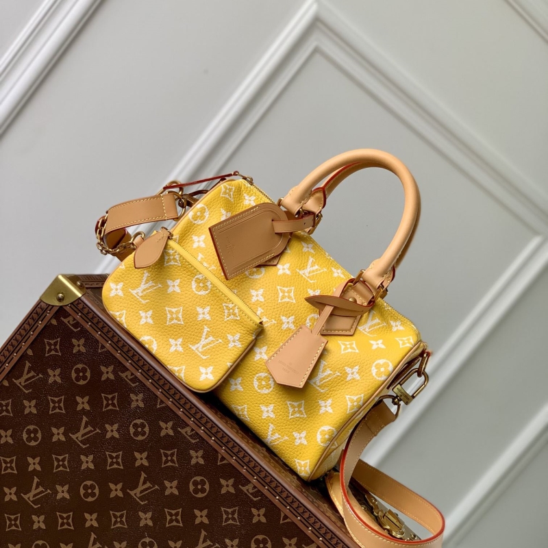 LV Travel Bags